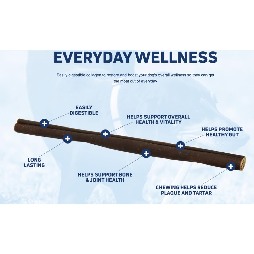 Generic Collagen Bullysticks – soin dentaire pour chiens grâce au mâchage.