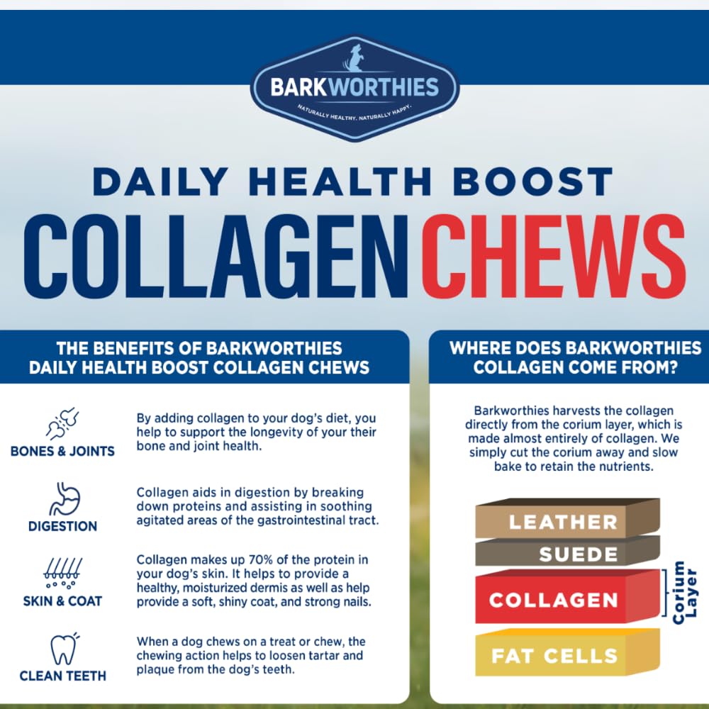 Generic Collagen Bullysticks pour chiens sans cereales – choix naturel et digestible.