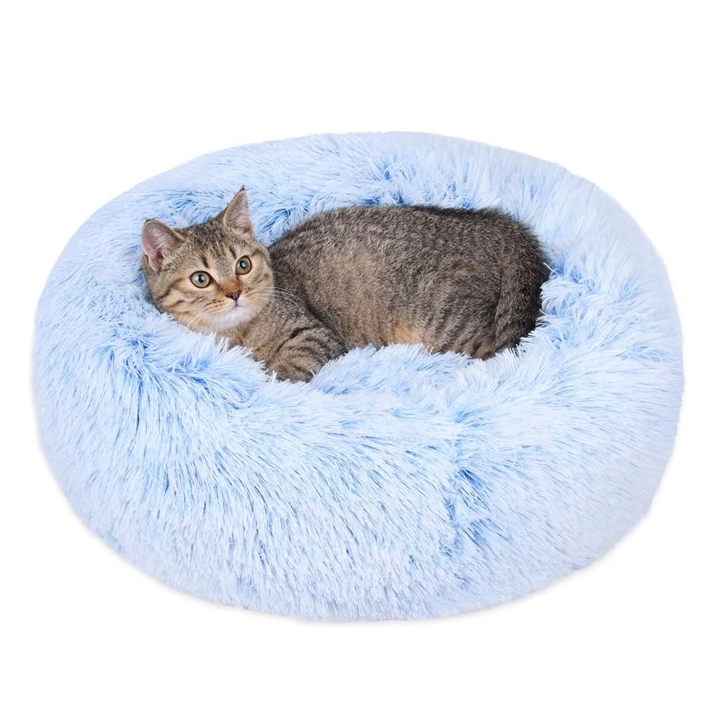 Generic coussin-chat-donut bleu cornflower, repos confortable et sûr.