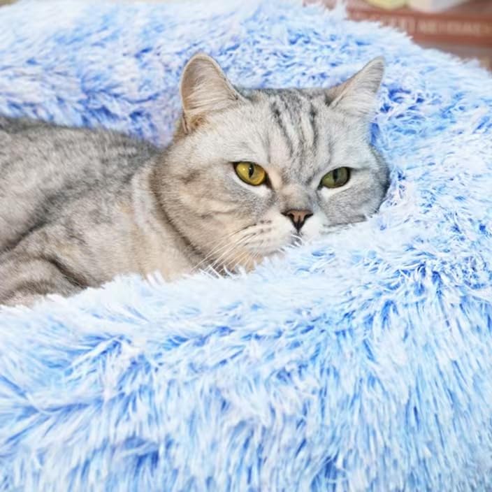Generic coussin-chat-donut bleu cornflower, adapté pour chats et petits chiens jusqu’à 25 lb.