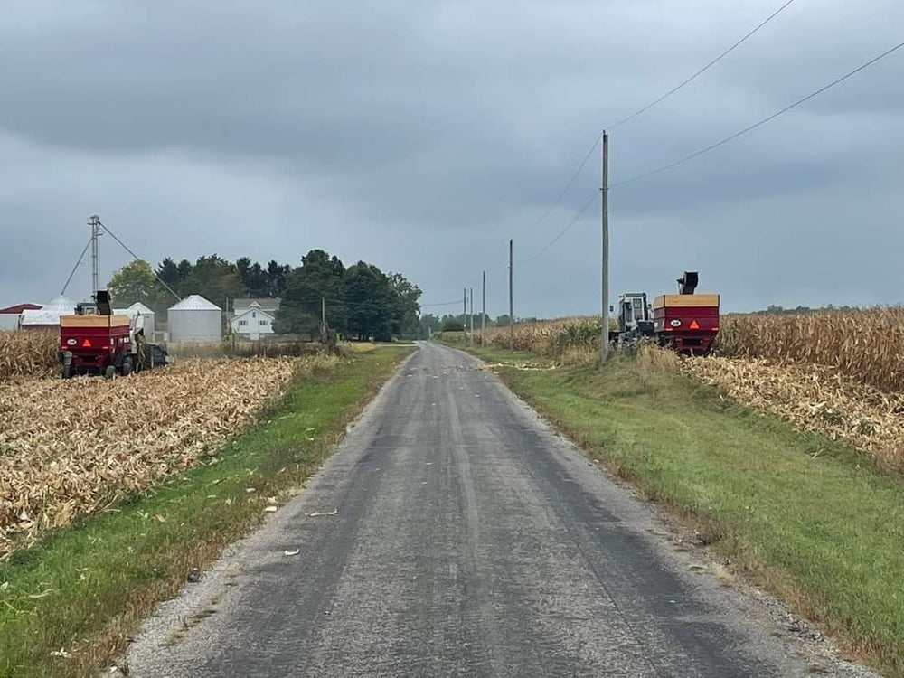 Écureuil dégustant du maïs Generic Disbro Farms.
