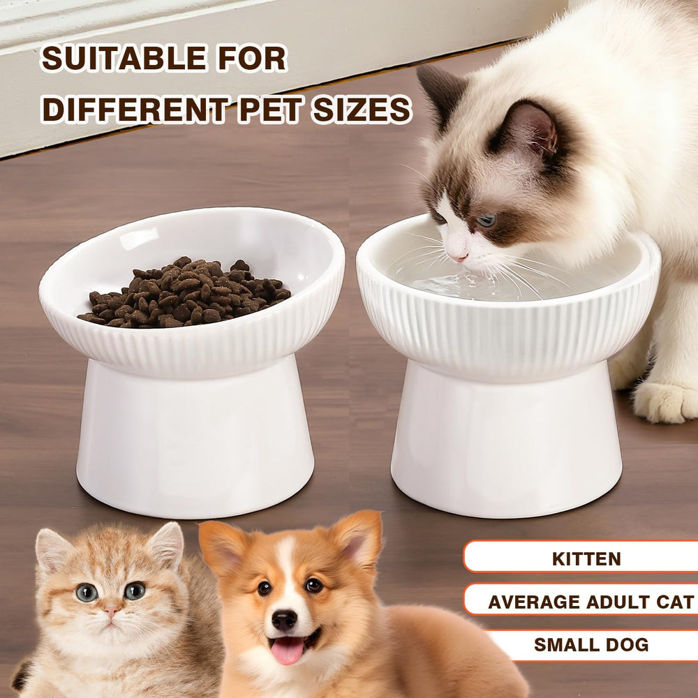 Ensemble de deux bols adaptés pour chats et chatons.
