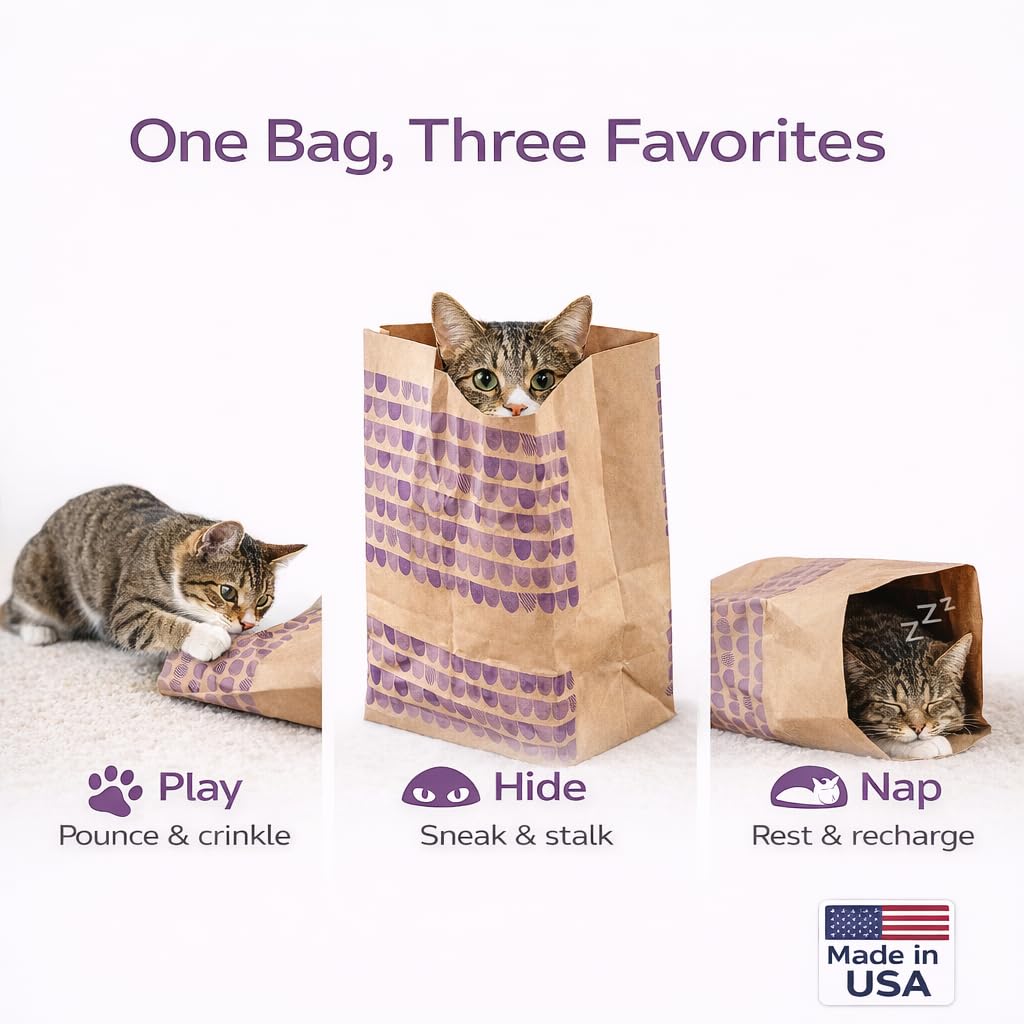 Generic ensemble de quatre sacs en papier recyclable pour chats