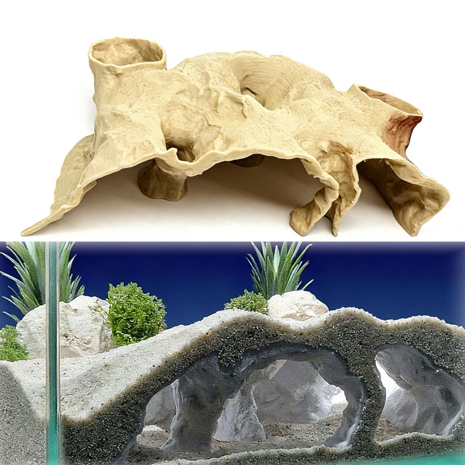 Grotte Generic offre un refuge souterrain pour poissons timides.