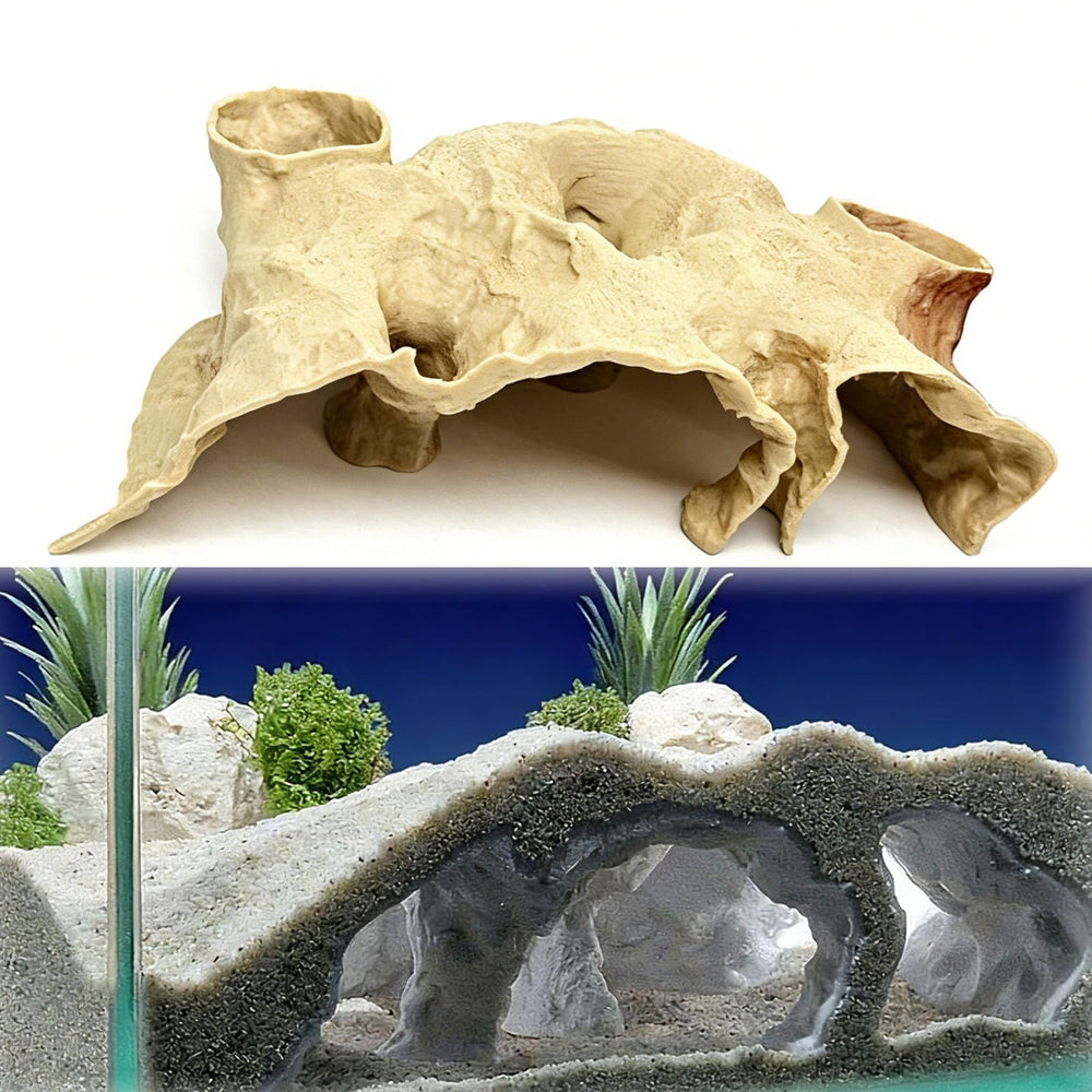 Grotte Generic offre un refuge souterrain pour poissons timides.