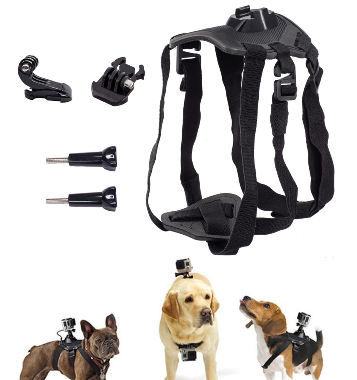 Generic harnais-chien cam-dos: vue dos pour plans dynamiques.