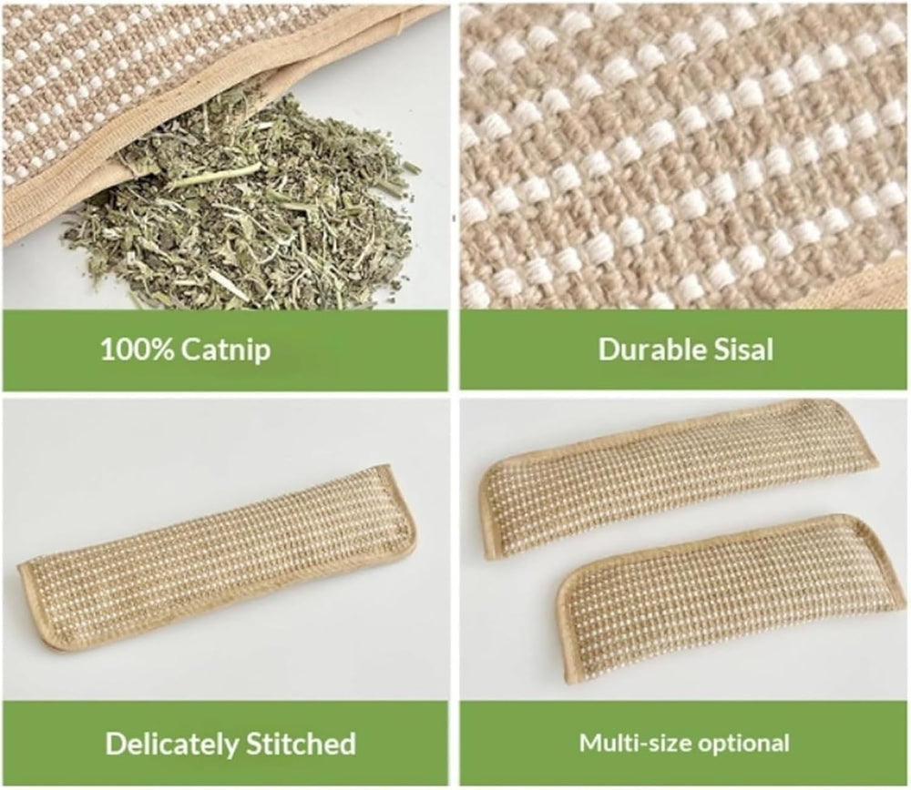 Generic herbe-chat biologique de qualité alimentaire favorise l'excitation naturelle