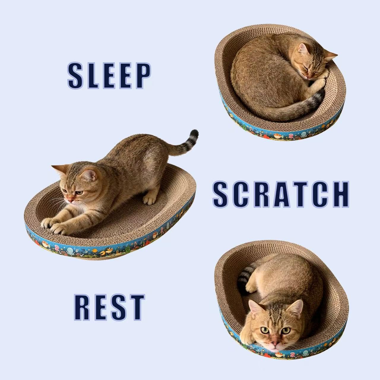 Generic jouets chat balles 2 – divertissement et exercice pour votre chat