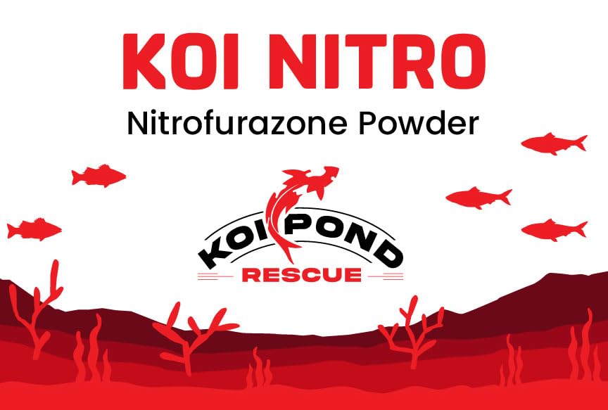 KOI Nitro solution en poudre adaptée pour infections bactériennes courantes.