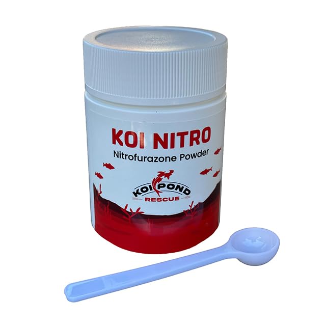 KOI Nitro peut laisser une teinte jaune temporaire après traitement.