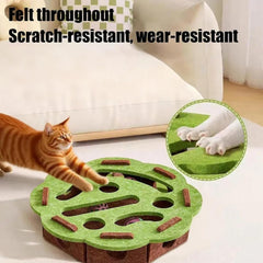 Generic Labyrinthe-enrichissement-chat — puzzle mental qui stimule l'esprit lors du jeu.