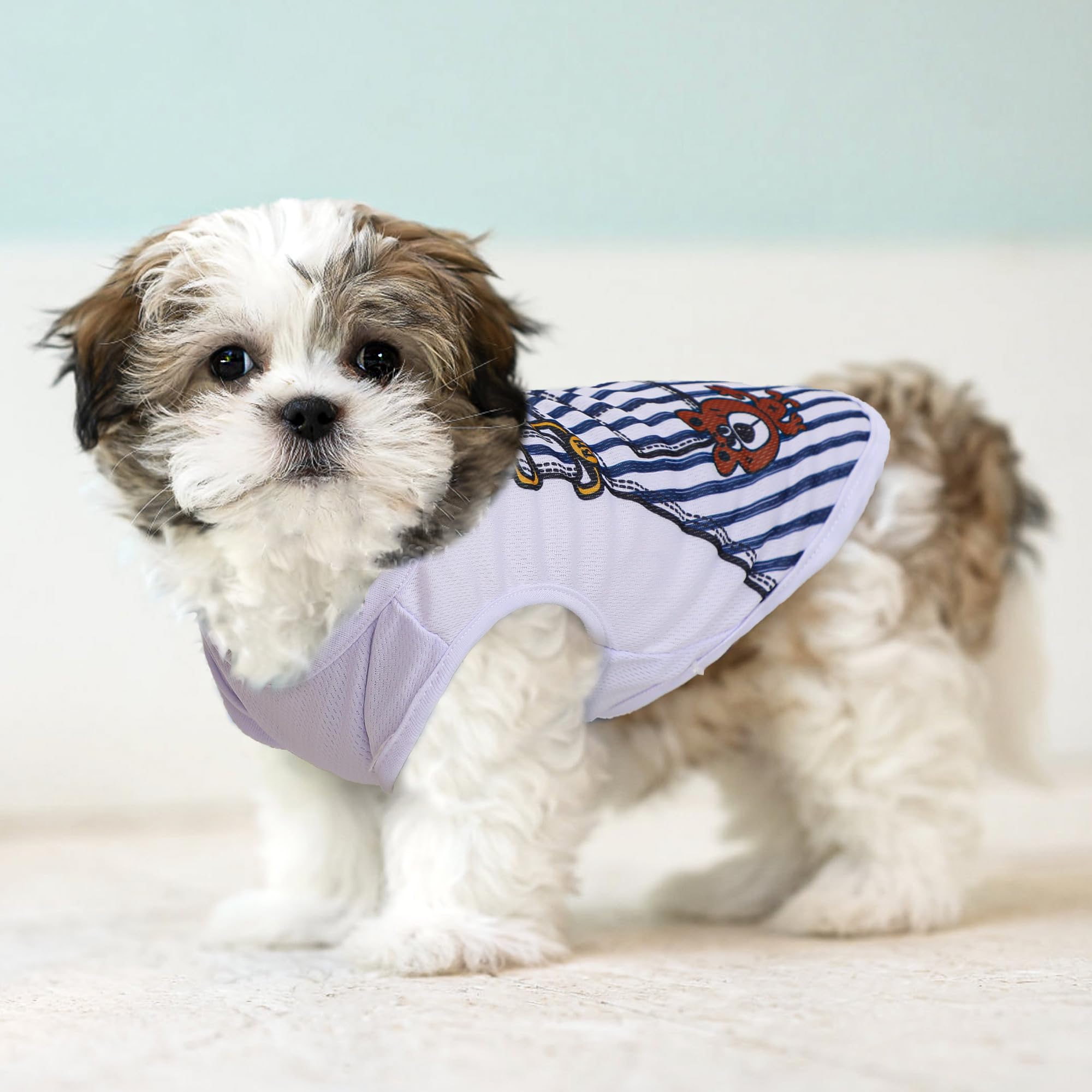 Generic lot-quatre-vetements-mesh-chien-bleu-arriere – protection légère du soleil.