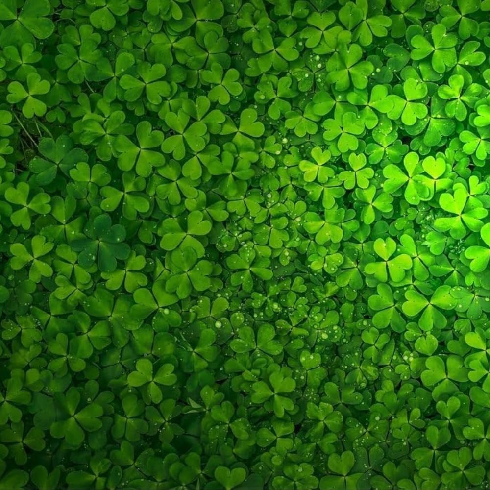 Generic Lucky Grass, décor terrarium pour paysage vivant.