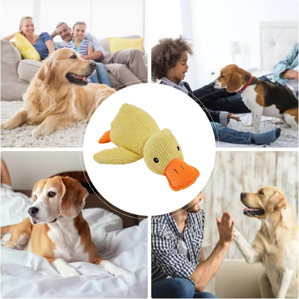 Generic Mellow Canard Jaune jouet intérieur résistant pour sessions quotidiennes