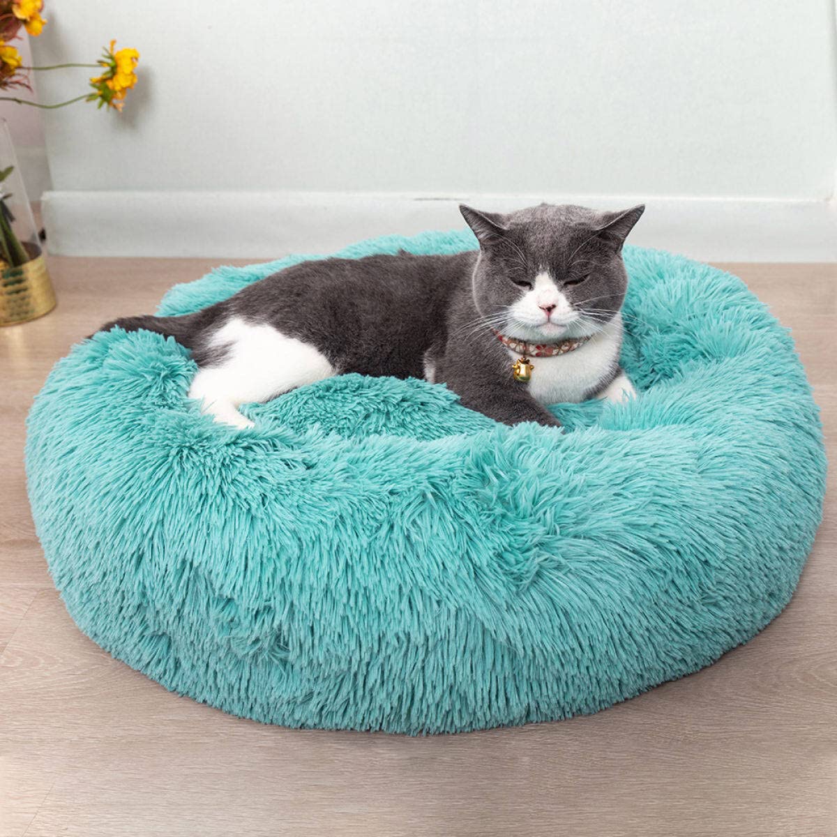 Nid en forme de beignet bleu Generic, cocon confortable pour chat.