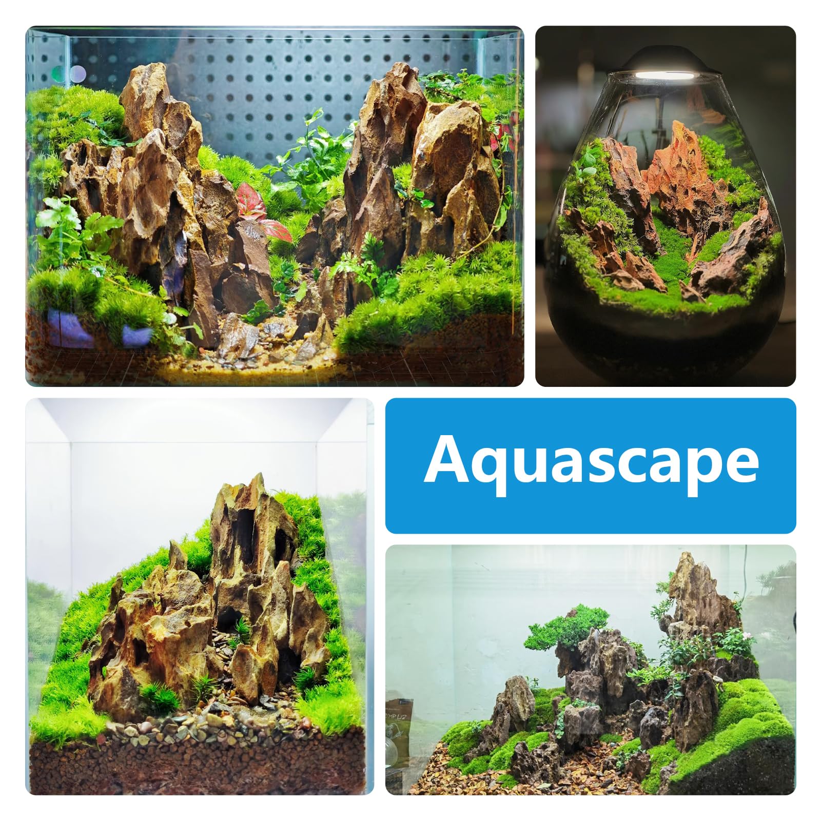 Generic pierre-aquarium dragon formation-montagne offrant cavernes naturelles pour crevettes.