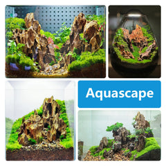 Generic pierre-aquarium dragon formation-montagne offrant cavernes naturelles pour crevettes.