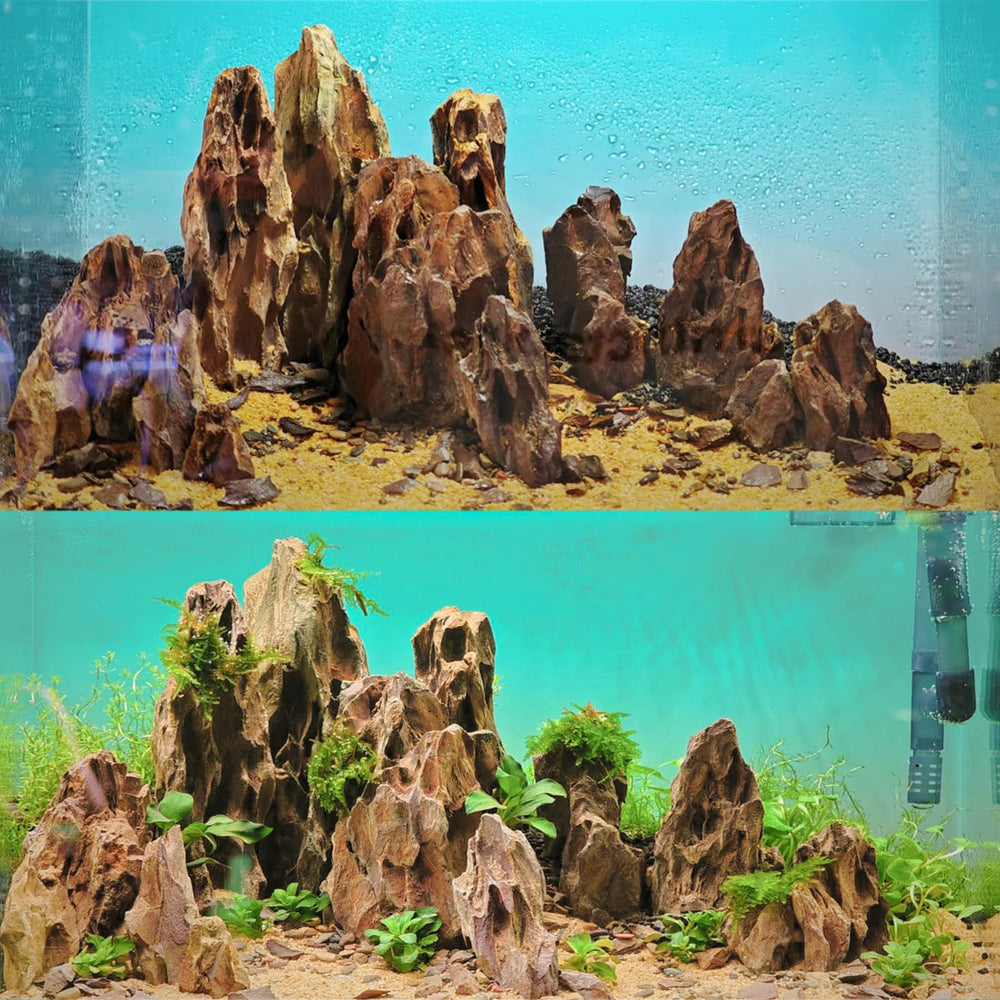 Generic pierre-aquarium dragon soutien plantes et herbes aquatiques pour fixation.