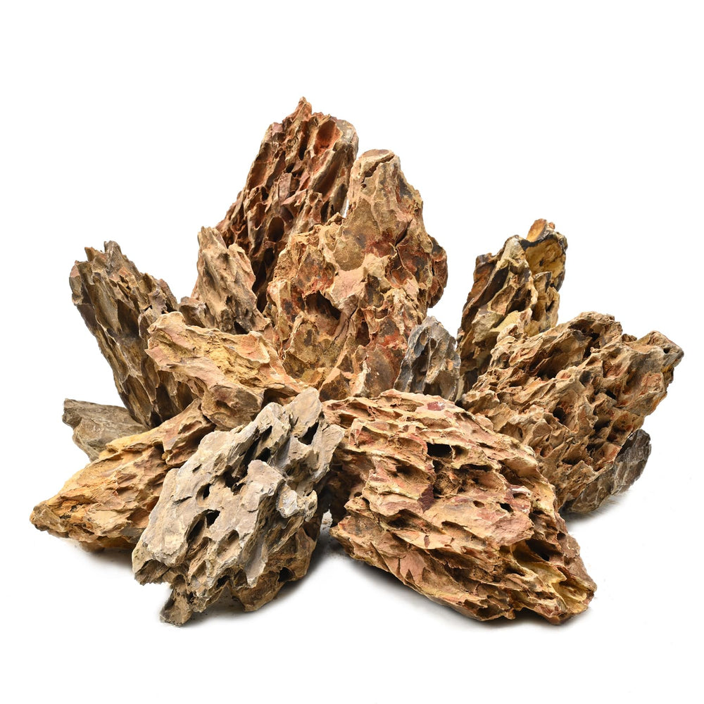 Generic pierre-aquarium dragon, texture naturelle nid-d'abeille pour décor réaliste.