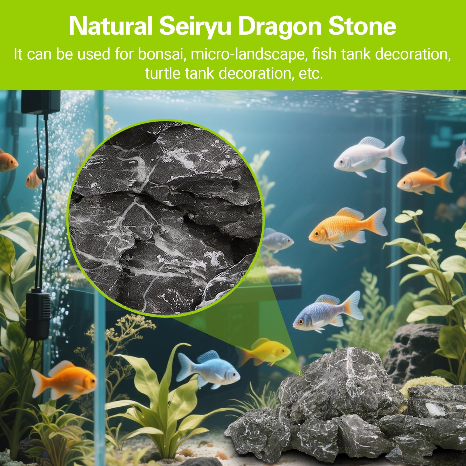 Surface extrêmement poreuse Dragon Ohko Generic soutient les colonies bactériennes.