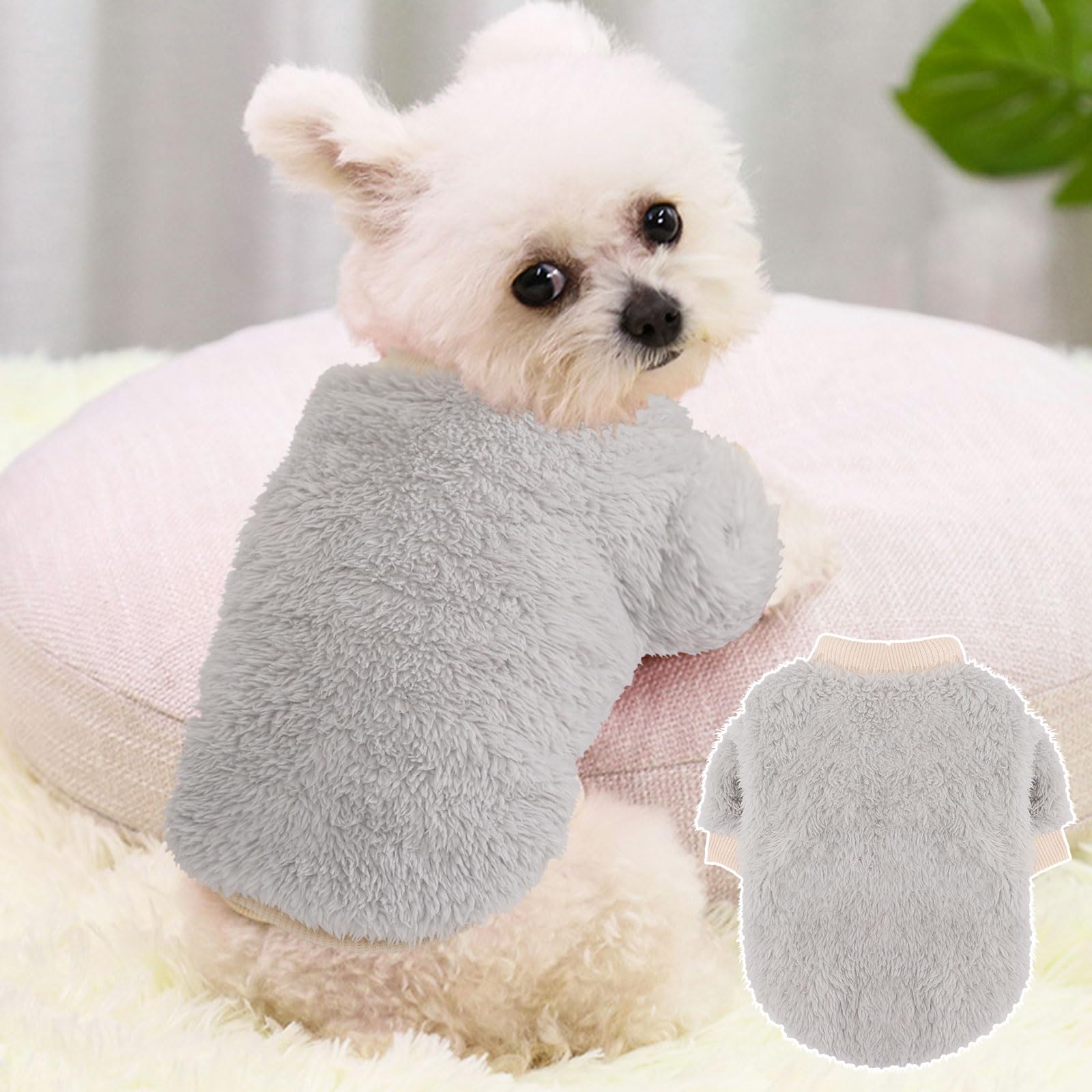 Generic pull hiver chien petit XXS, idéal pour Chihuahua et Yorkie.