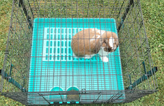 Generic Saguaro Acres tapis-repos pour cage lapin bleu: surface douce et facile à nettoyer.