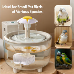 Generic systeme filtration bain d'oiseau — filtration efficace pour l'hygiène.