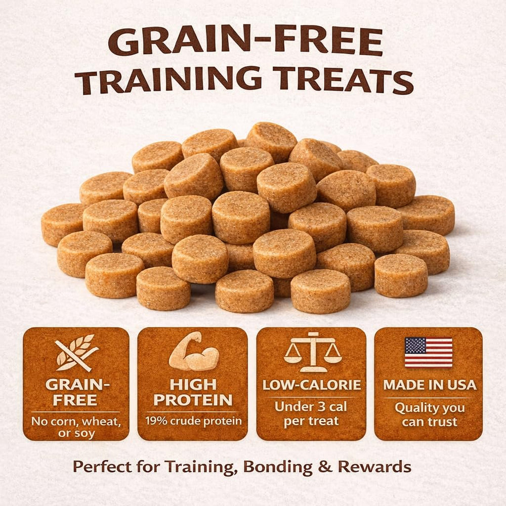Generic Tender Tidbits saumon petits biscuits, goût agréable pour l'entraînement quotidien