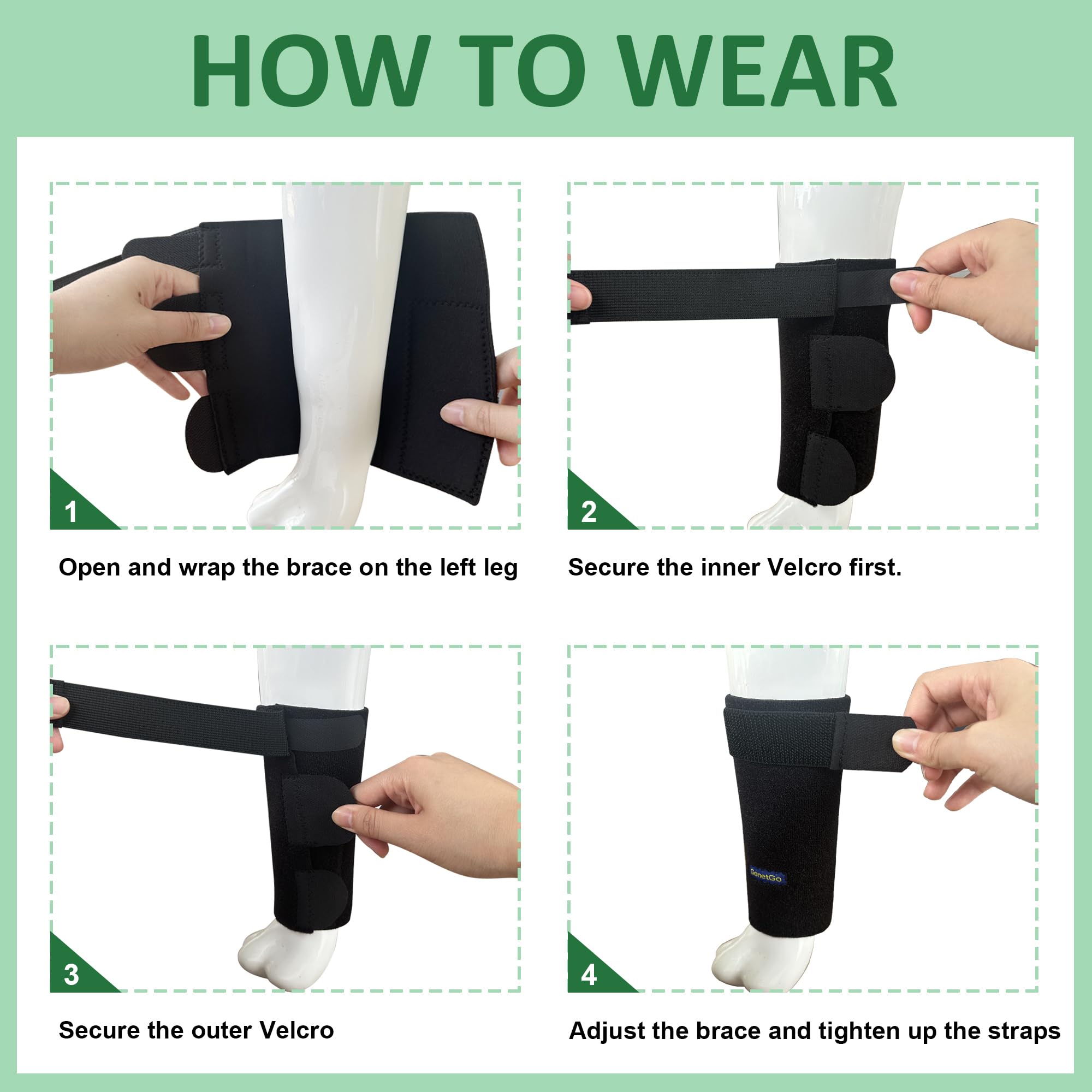 GenetGo attelle patte avant assure stabilité et flexibilité lors des promenades quotidiennes