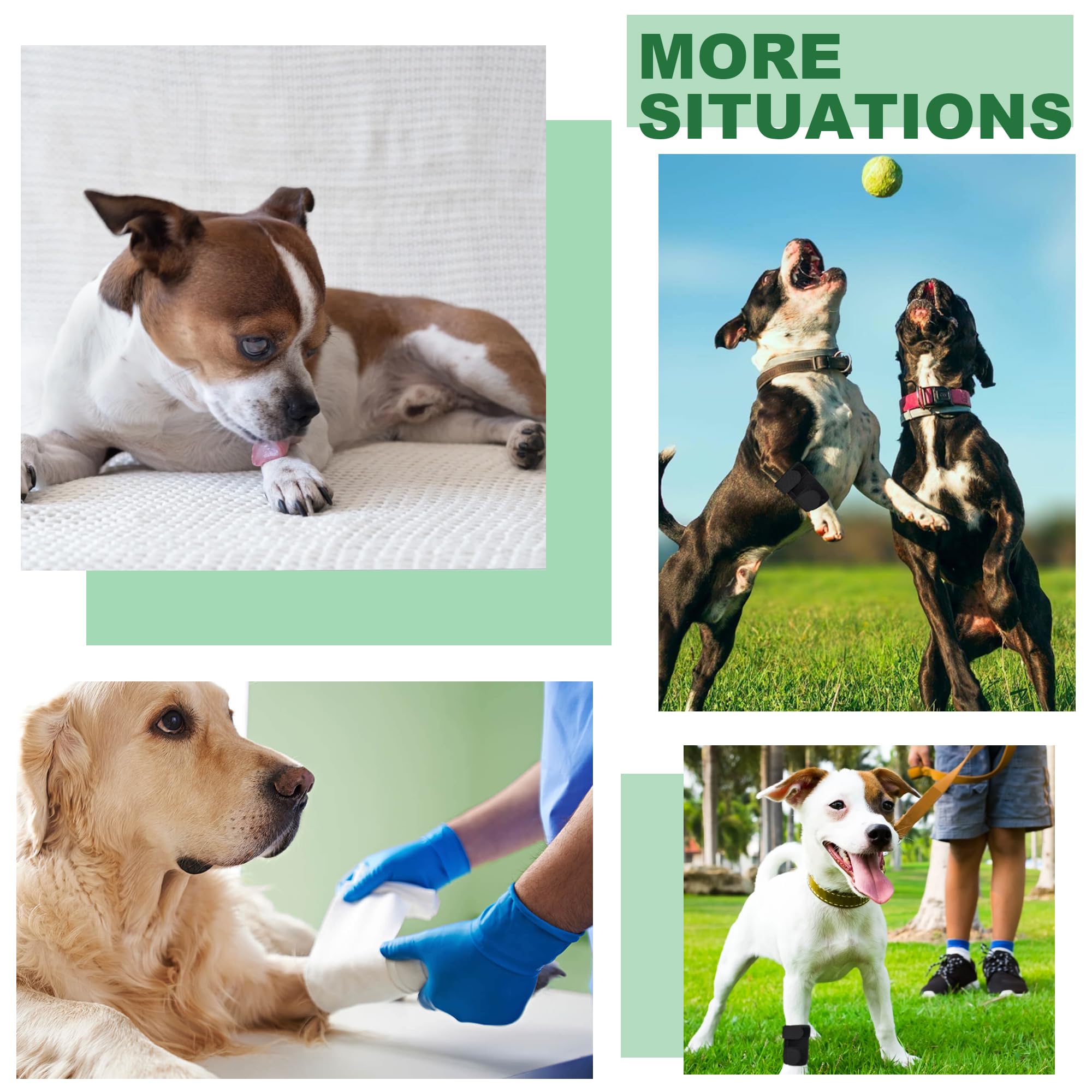 GenetGo usage quotidien patte avant, parfait pour chiens actifs.