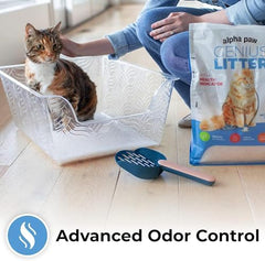Genius Litter cristaux sans poussiere : espaces propres autour de la litiere