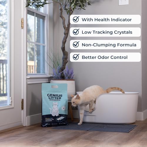 Genius Litter offre une solution mensuelle : sacs de 6 lb pour simplifier le planning