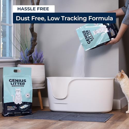 Genius Litter ideal pour chats d interieur : boxes propres et foyer calme