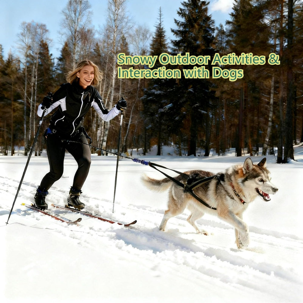 Harnais GentleBliss confort-poitrine-dos, rembourré et ajustable pour chien.