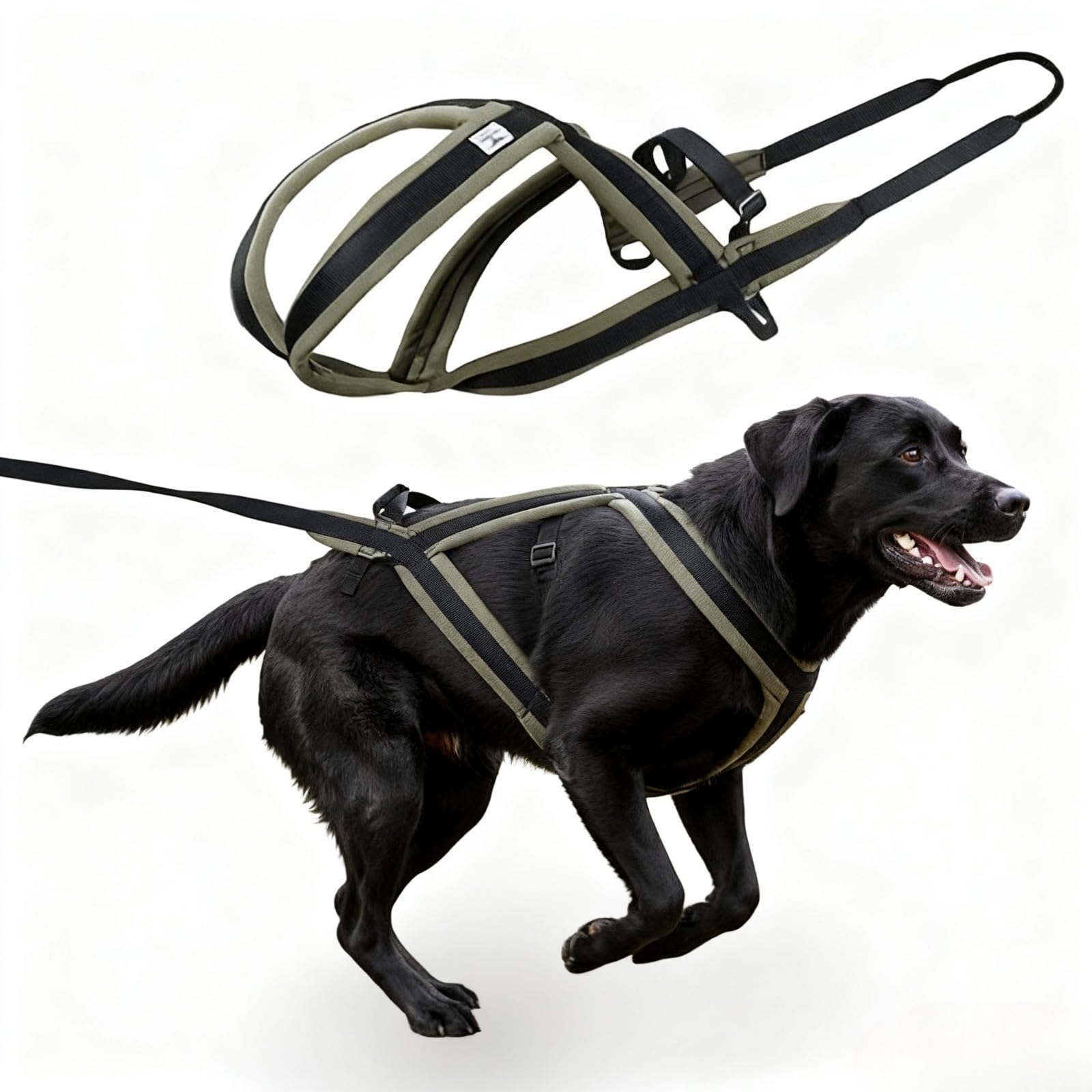 Harnais GentleBliss pull-poids-chien, confort et stabilité en forêt verte.