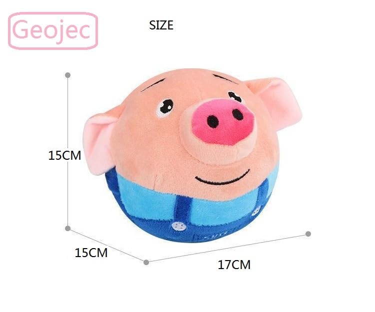 Geojec cadeau idéal pour chien actif et propriétaire exigeant.