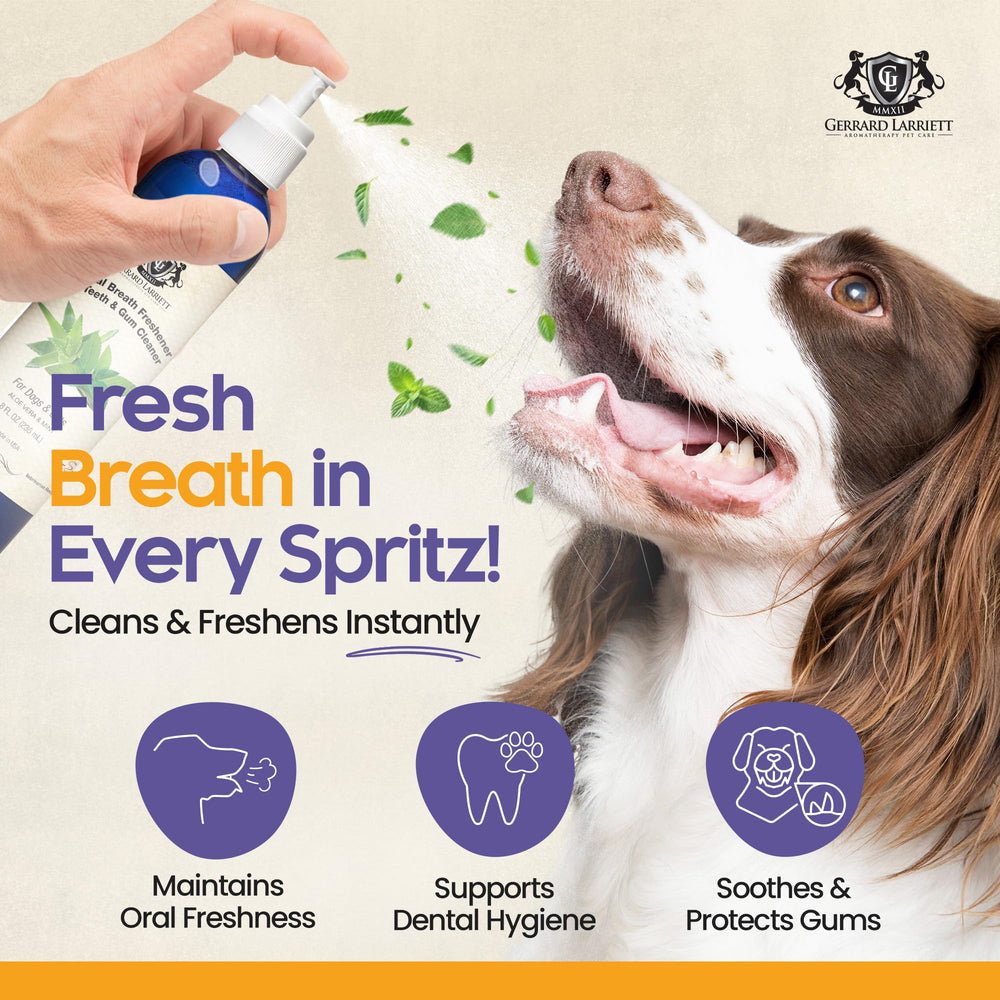 Spray dentaire Gerrard Larriett pour chiens et chats — application rapide et pratique