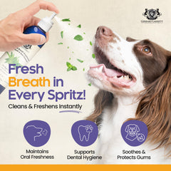 Spray dentaire Gerrard Larriett pour chiens et chats — application rapide et pratique