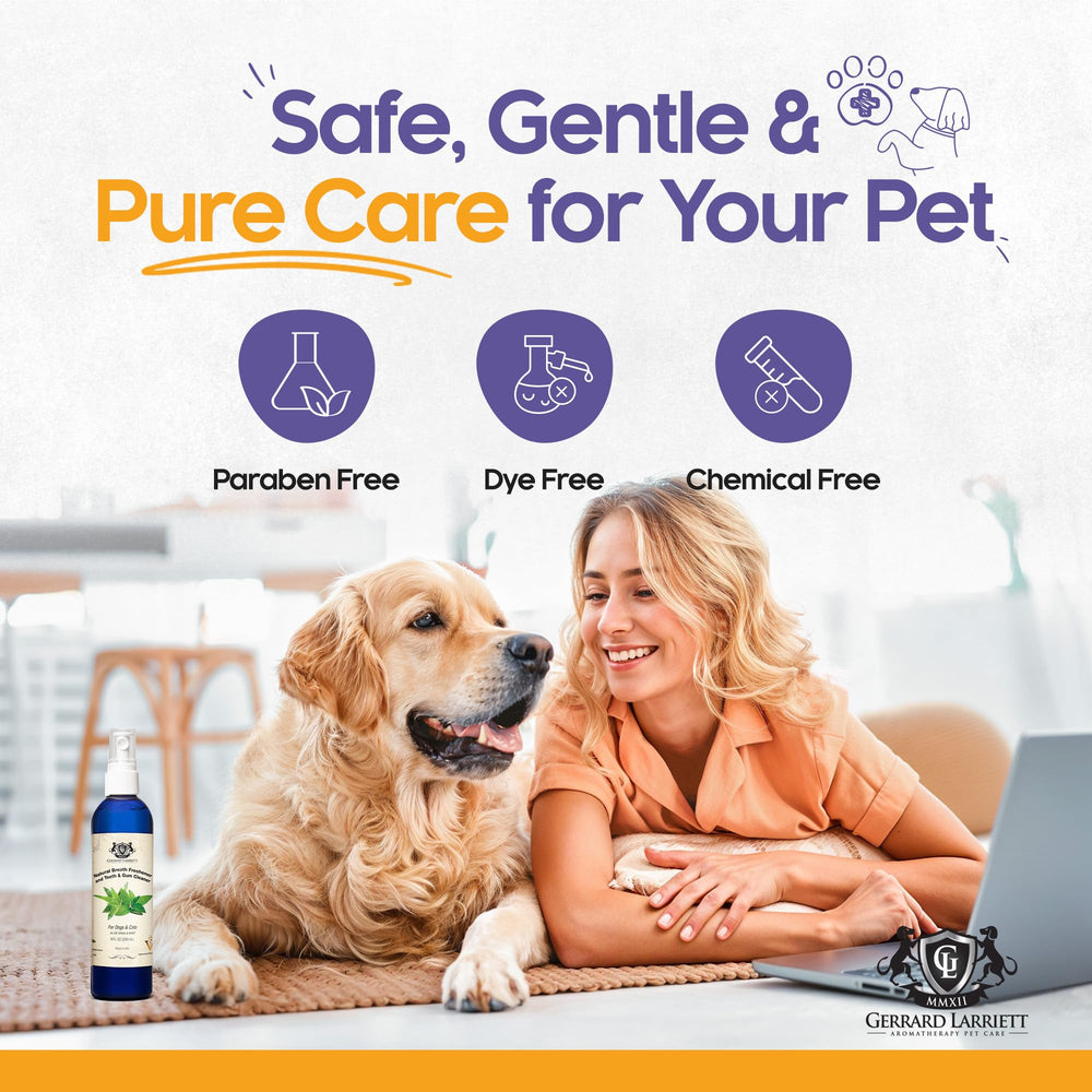 Spray dentaire naturel sans alcool pour animaux de compagnie