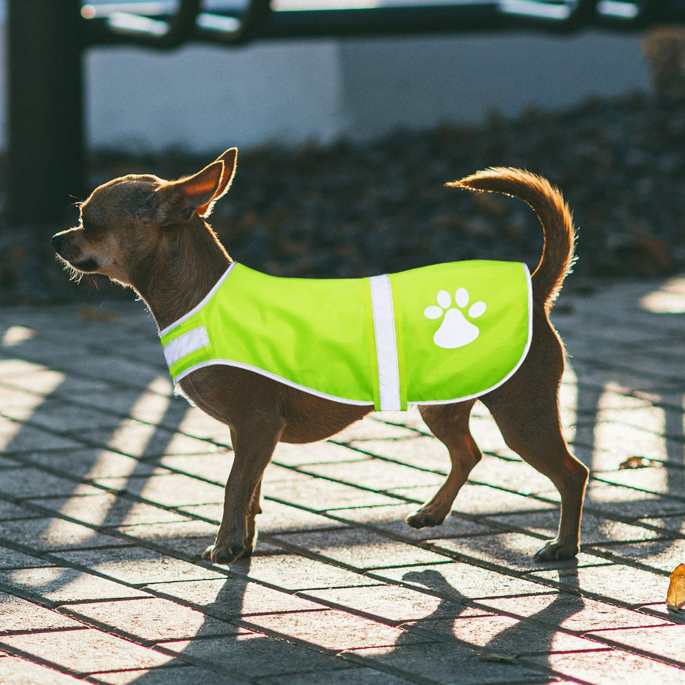 Geyoga gilet réfléchissant chien en plein air: réglages faciles et port confortable.