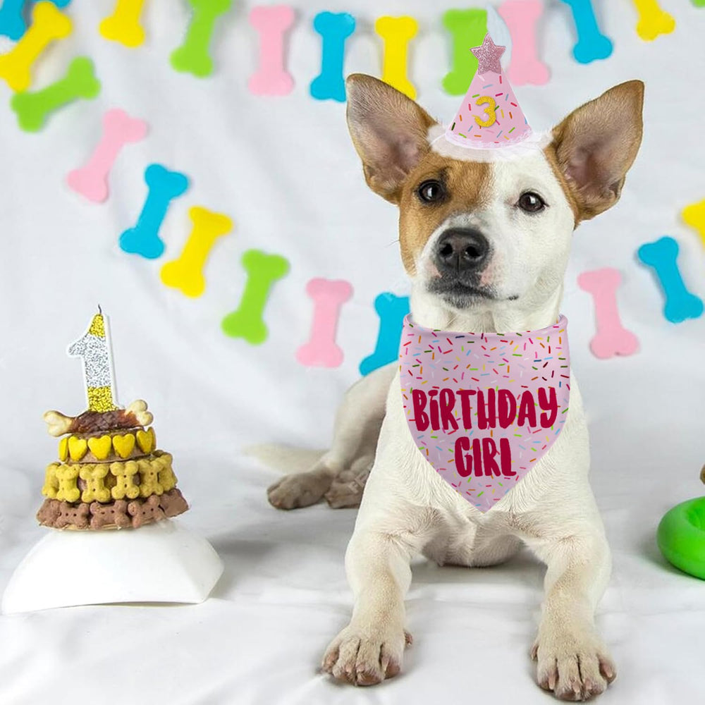 GHSJYO accessoires anniversaire pour chien, idéal pour sorties et souvenirs