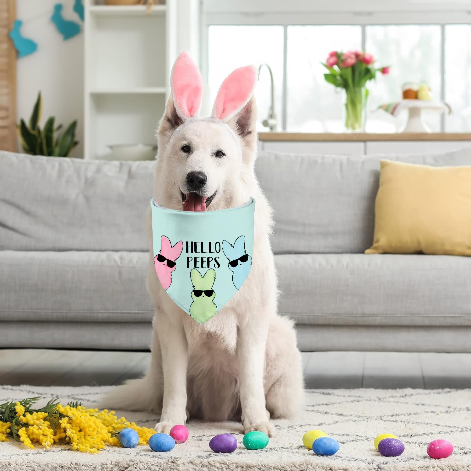 Cadeau idéal pour chien GHSJYO, ajoutant charme et personnalité.