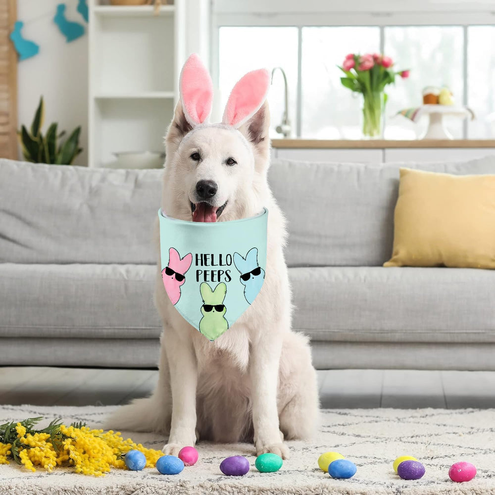 Cadeau idéal pour chien GHSJYO, ajoutant charme et personnalité.