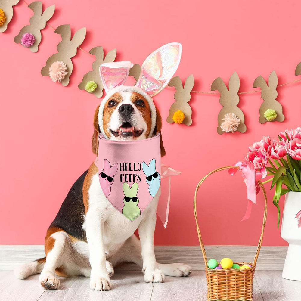 Polyester doux GHSJYO bandana chien couleurs vives pour photos mémorables.