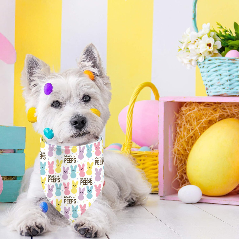 GHSJYO bandanas chiens paques motifs colorés : dos réversible pour varier le style