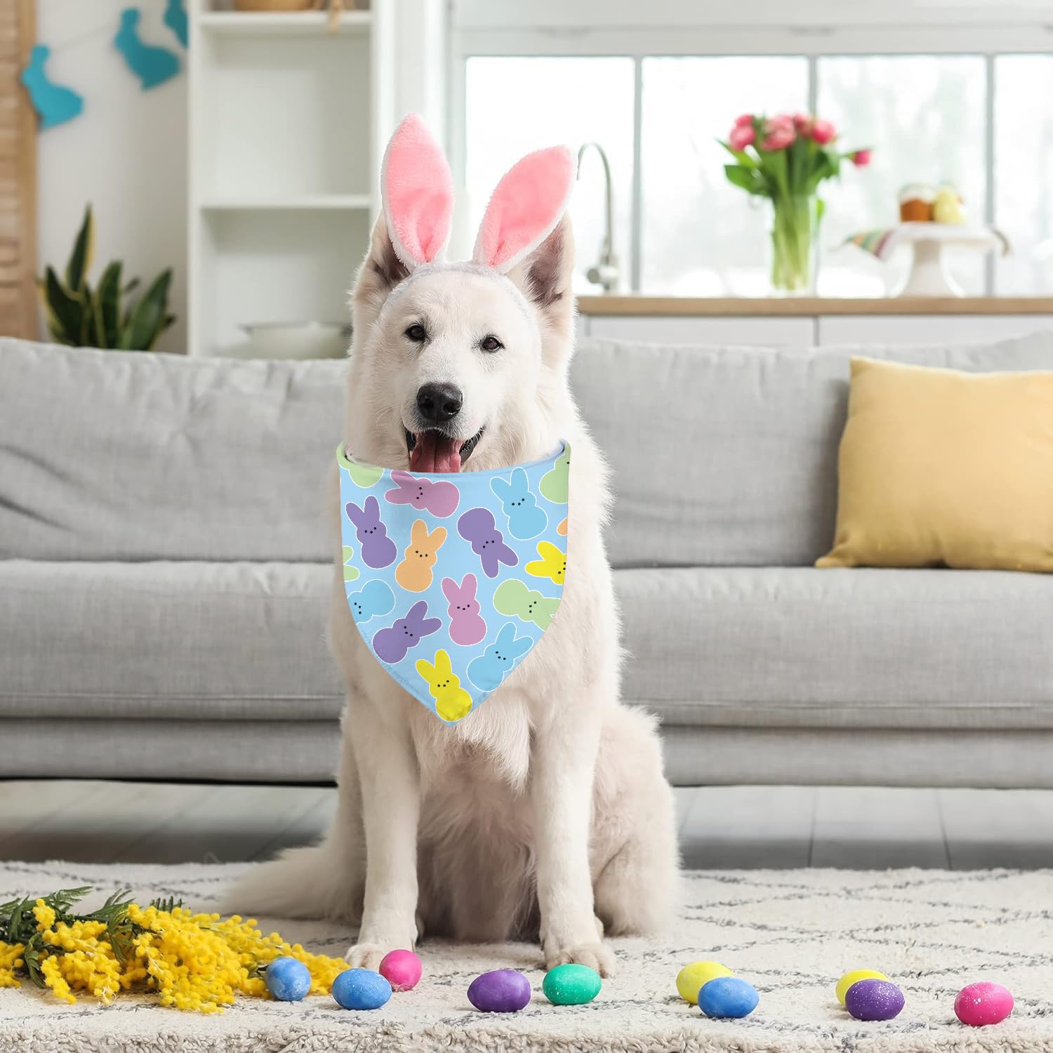 Cadeau fête chien GHSJYO, foulard durable en polyester