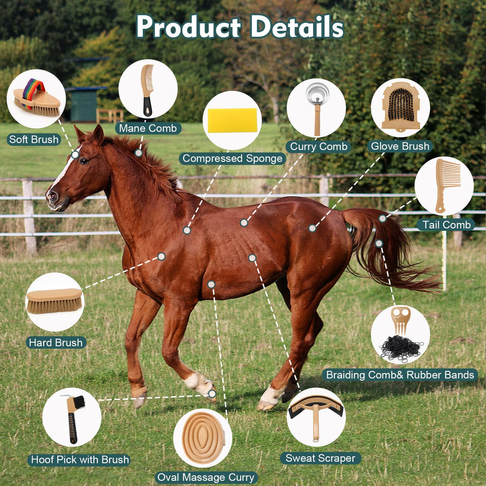 GHWMYD gant caoutchouc brosse cheval: nettoyage en douceur et stimulation de la peau