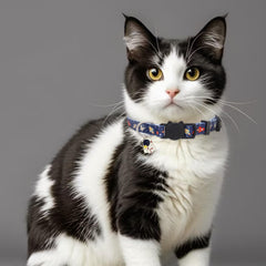 Collier Giecooh avec cloche attachée, permet de repérer facilement votre chat.