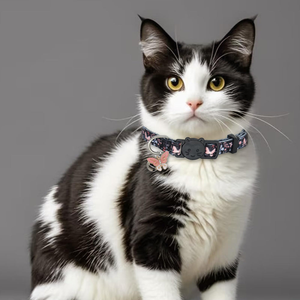 Giecooh collier boucle à rupture, sécurité et liberté pour votre chat.