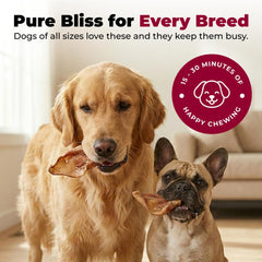 GigaBite sans céréales et sans soja, option adaptée pour chiens sensibles.